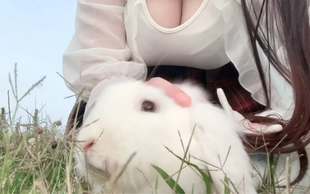 软月月减脂日记：每日打卡记录，舰长福利图包完整版-橘喵